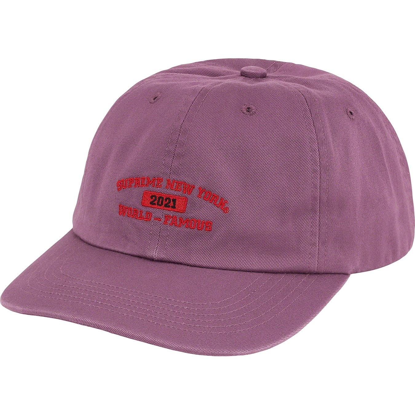 World Famous 6-Panel view 12